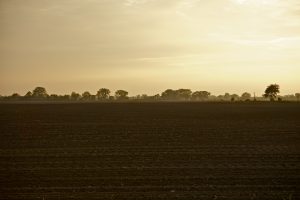 Illinois Crop Growing Land