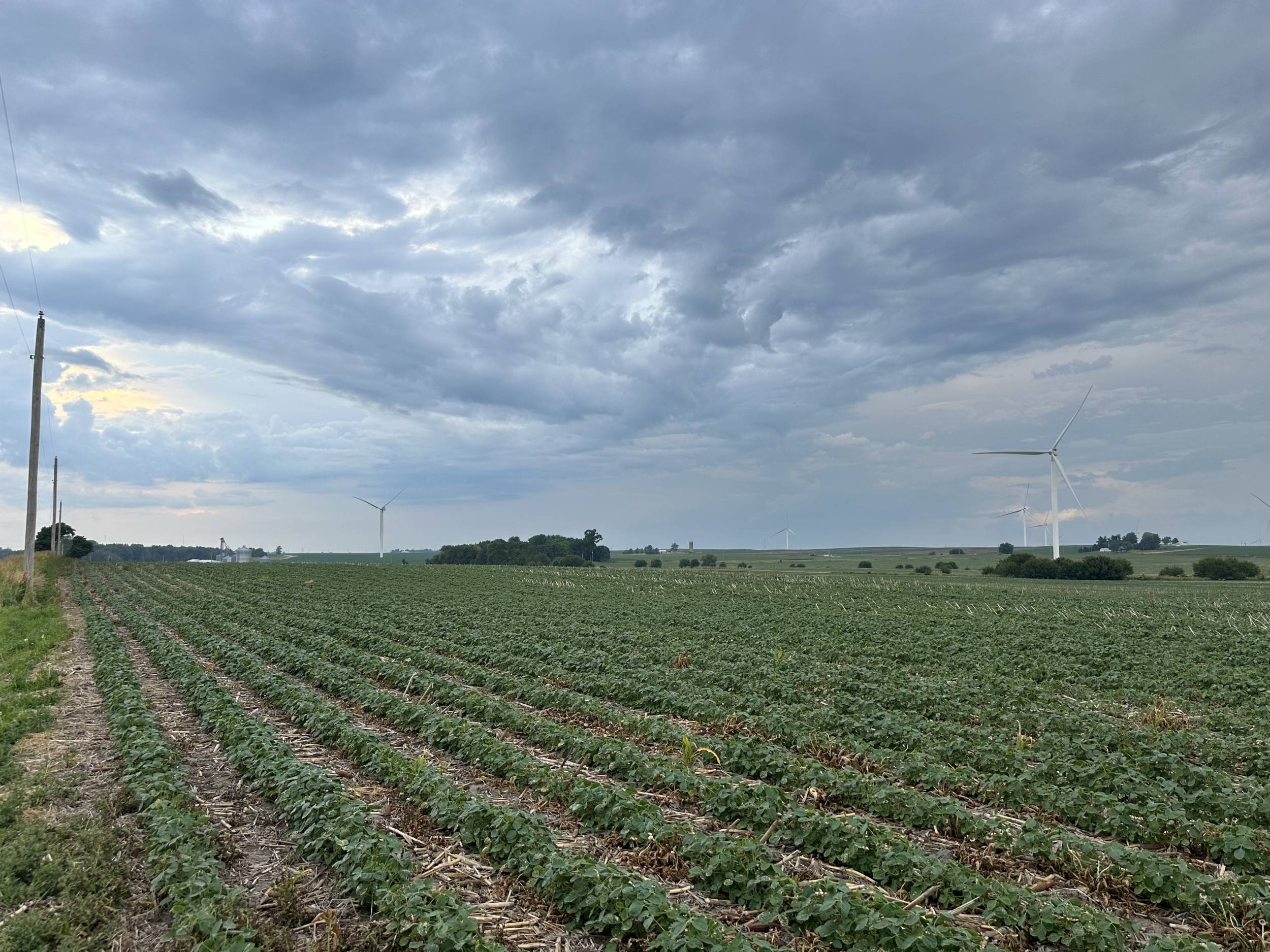 Farm Real Estate In Ogle County